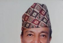 ईम्बोष्ड नम्बर प्लेट–भाषाको छातीमा विषाक्त छुरा