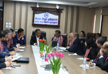 विद्युत् पूर्वाधार विस्तारमा लगानी बढाउन एआईआईबीलाई प्राधिकरणको आग्रह