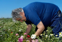 ‘विश्वकै गरिब राष्ट्रपति’ होसे मुहिकाको निधन