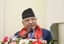 अहिलेको संविधान र संसदीय प्रणालीको विकल्प सुदृढ लोकतन्त्र मात्रै हुन सक्ने प्रचण्डको धारणा