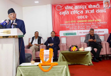 राजनीतिक आँटले लोडसेडिङ हट्यो : अध्यक्ष प्रचण्ड